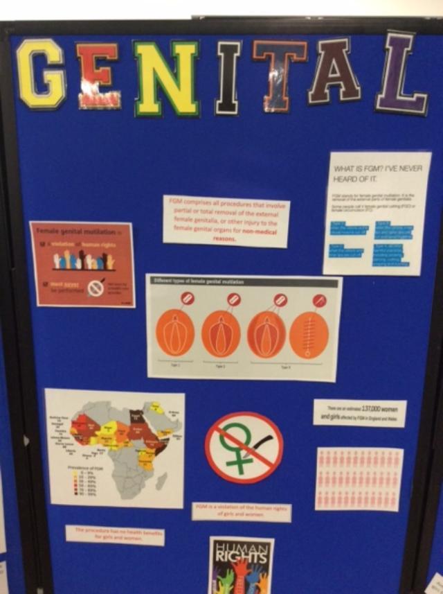 Display board