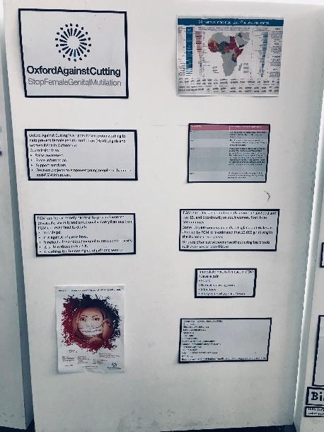 Display board